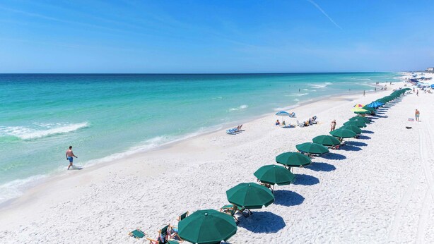 Ein Strand mit Reihen grüner Sonnenschirme und Liegestühlen, ein sandiger Uferstreifen und das Meer.