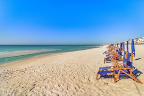 Una spiaggia nelle vicinanze