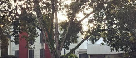 A building with a red and white facade, surrounded by trees and a grassy area.