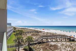 Blick auf einen Strand mit einer Holzpromenade, Palmen und Strandstühlen.