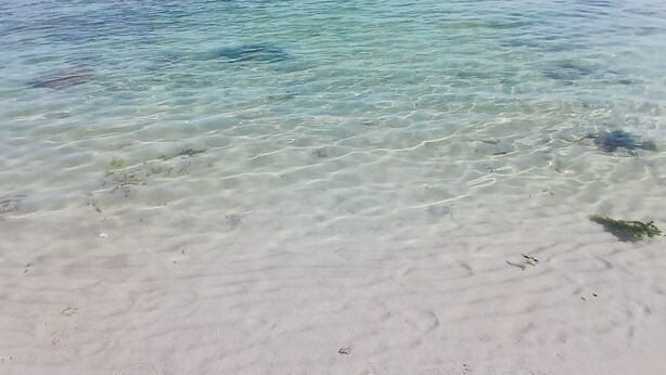 Klares, flaches Wasser mit sichtbarem Sand und Seegras am Ufer.