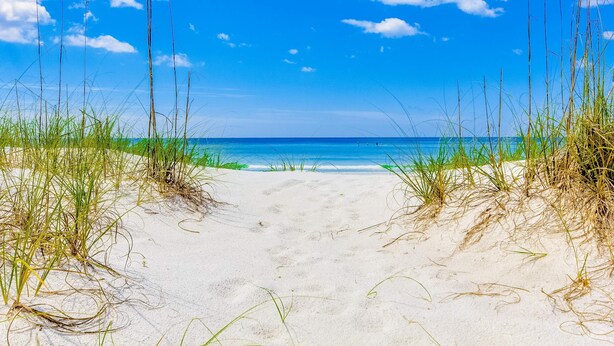 Un sentier de sable qui longe la plage et mène à l’océan, avec de hautes herbes de chaque côté.