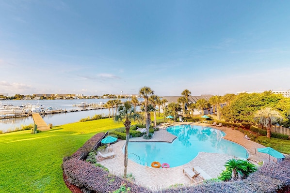 A swimming pool with a curved edge, surrounded by a grassy area and palm trees.