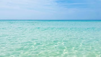Una playa cerca