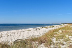 Beach - 2 dog-friendly beach homes with on-site pool/shopping/dining, AC, & W/Ds (Port St. Joe)