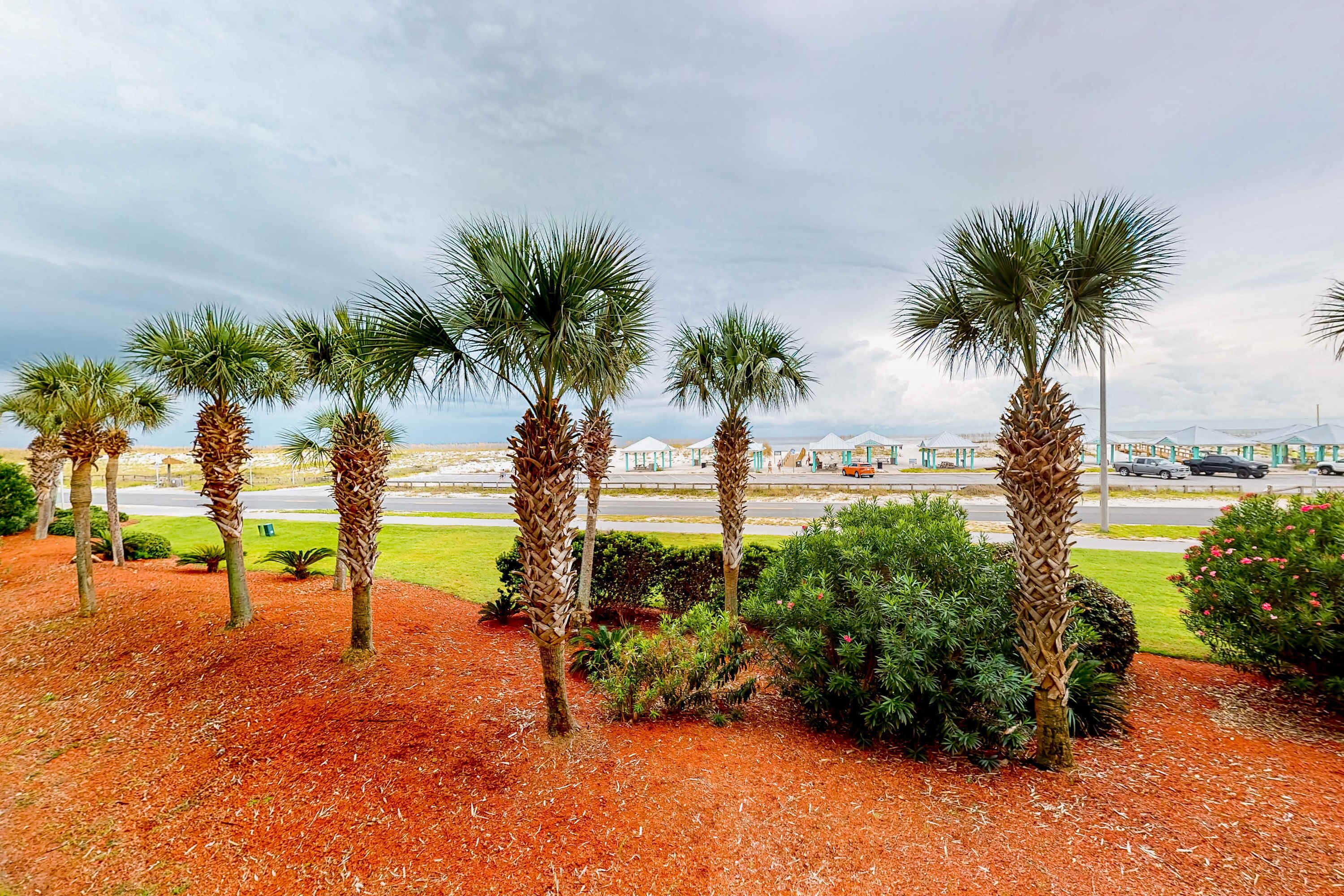 A landscaped area with palm trees and shrubs, a paved road, and a distant view of buildings and vehicles.