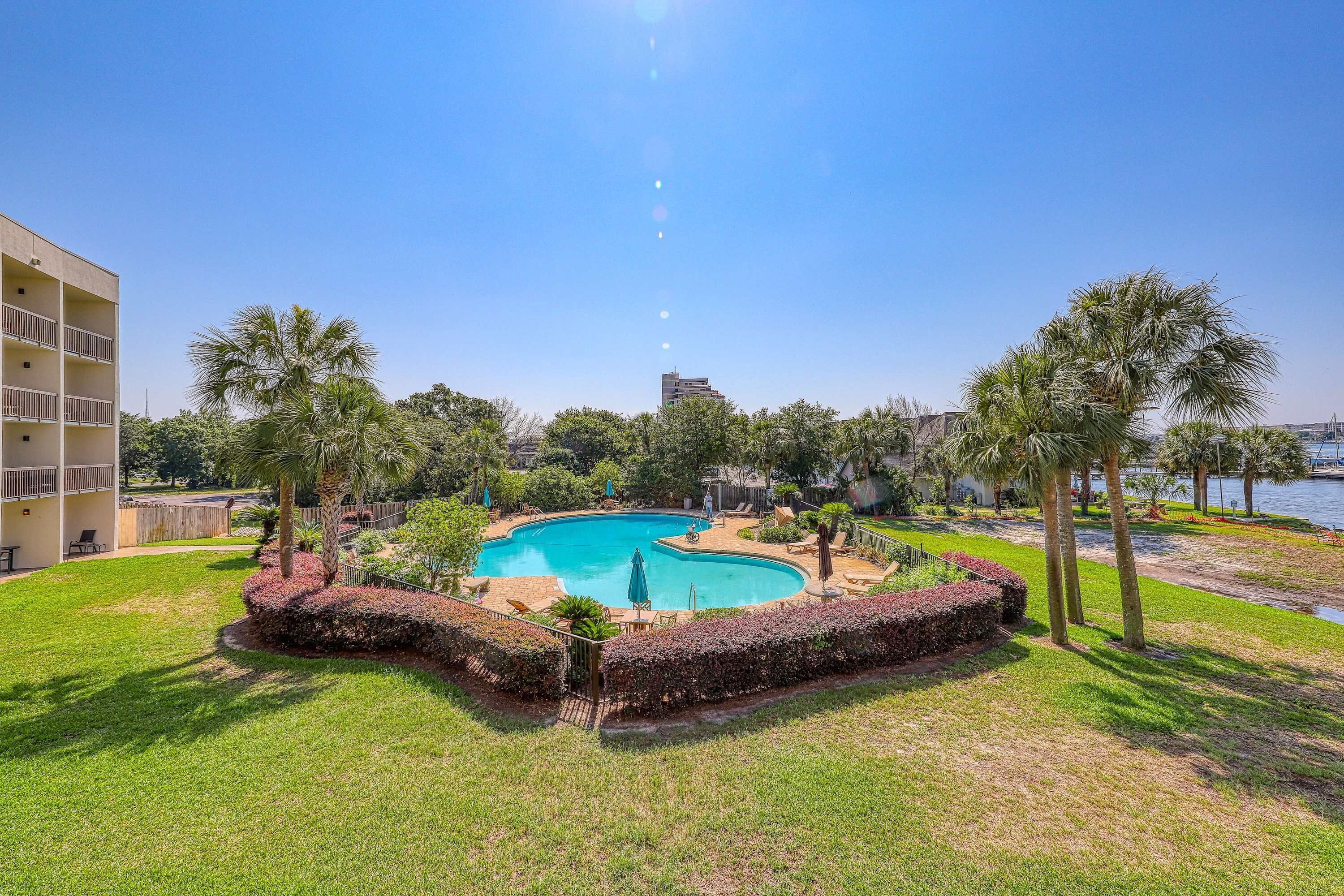 A swimming pool surrounded by palm trees and a grassy area, with a building in the background.