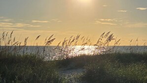 Ein Küsten-Sonnenuntergang mit einem Pfad, der zum Meer führt, umgeben von hohem Gras.