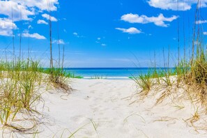 Un sentier de sable qui longe la plage et mène à l’océan, avec de hautes herbes de chaque côté.