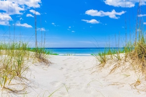 A sandy beach path leading to the ocean with tall grasses on either side. - Gorgeous coastal condo with shared pool and private balcony (Miramar Beach)