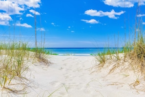 A sandy beach path leading to the ocean with tall grass on either side. - Cozy coastal efficiency with shared pool, hot tub & easy beach access (Miramar Beach)
