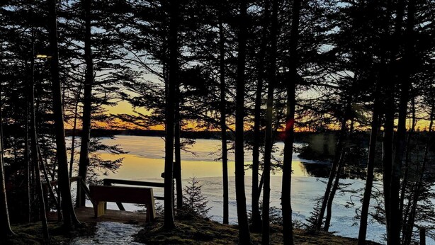 A bench overlooking a frozen lake with a forested backdrop. - Waterfront Sunset Cove (Goobies)