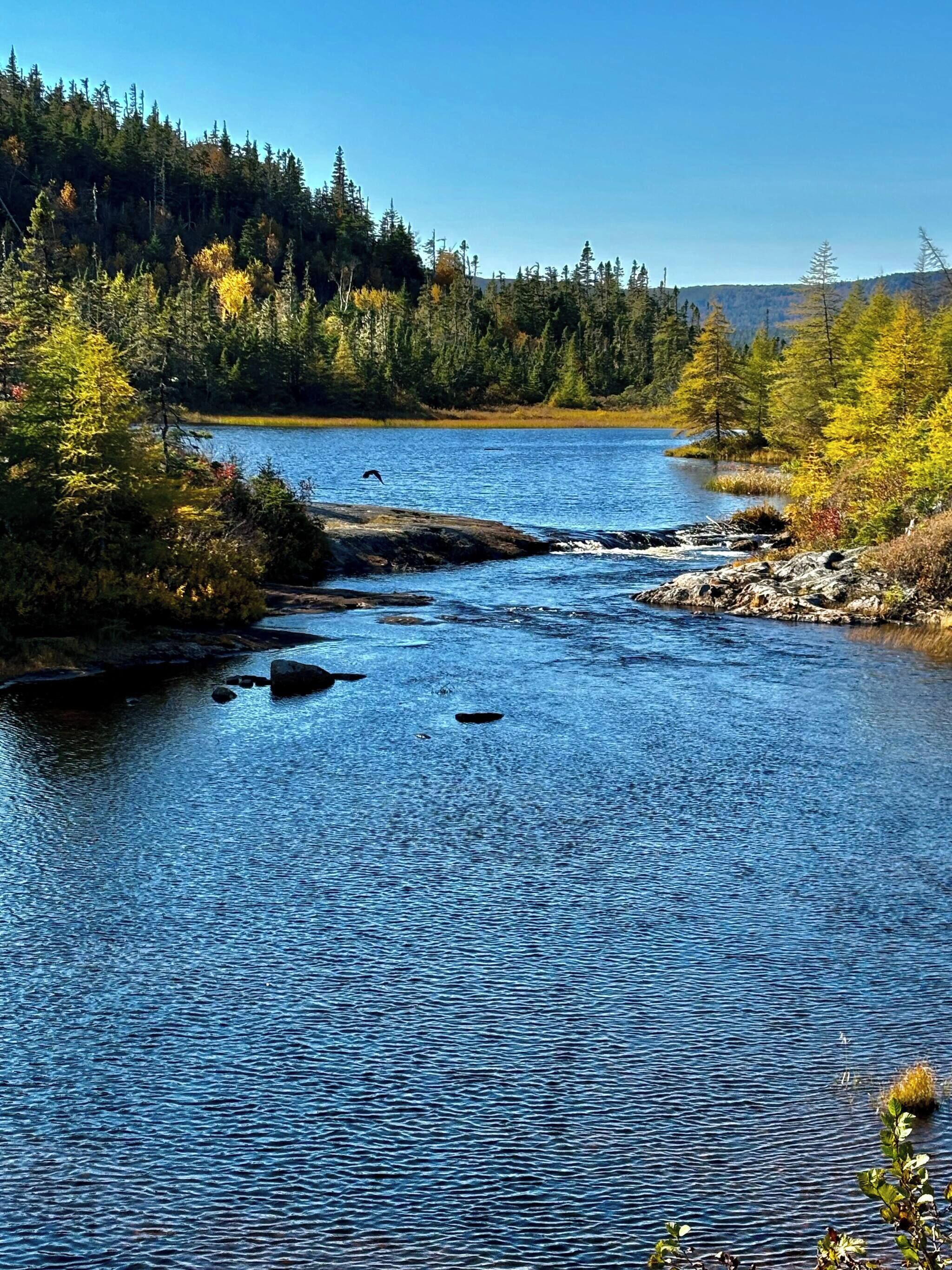 House, 2 Bedrooms | Miscellaneous