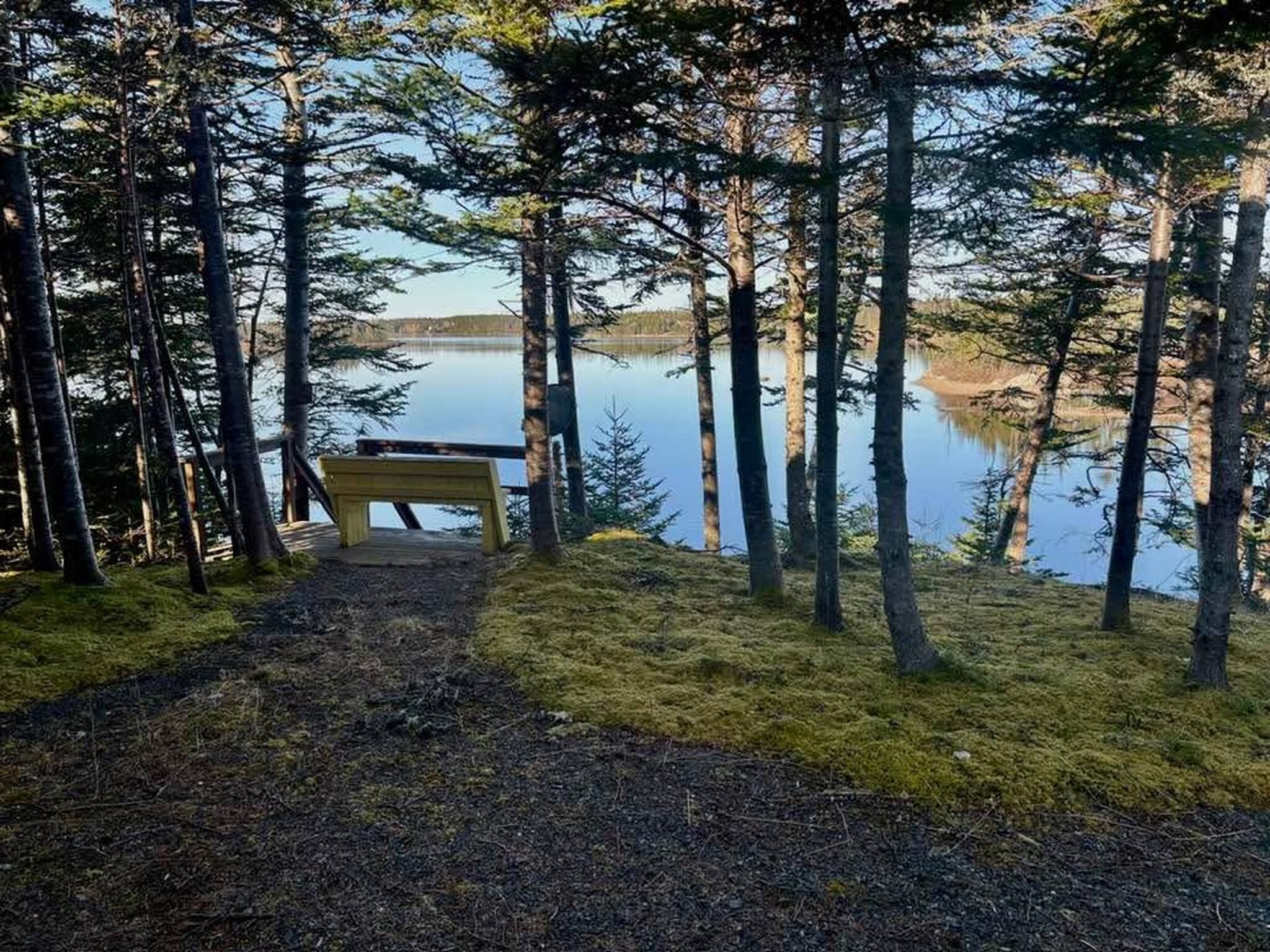 Un banco con vistas a un lago rodeado de árboles.