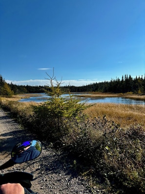 A gravel path leading to a body of water with a forest in the background. - Waterfront Sunset Cove (Goobies)