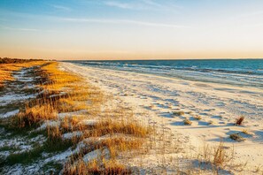 Nära stranden