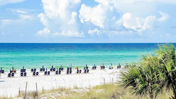 Een strand met rijen ligbedden en parasols, een helderblauwe lucht en de oceaan.