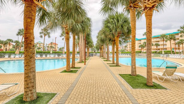 Un espace aménagé au bord de la piscine, avec des palmiers, des chaises longues et un ciel dégagé.
