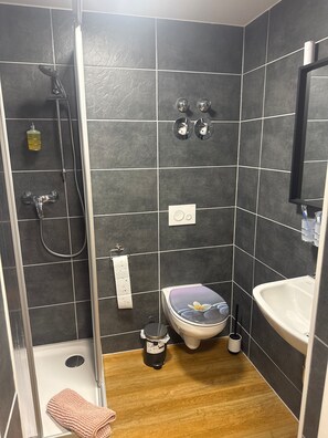 Chuveiro, secador de cabelo, toalhas de banho 