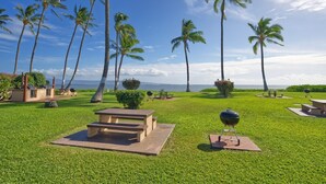 Un espacio verde con mesas de picnic, una parrilla y palmeras.