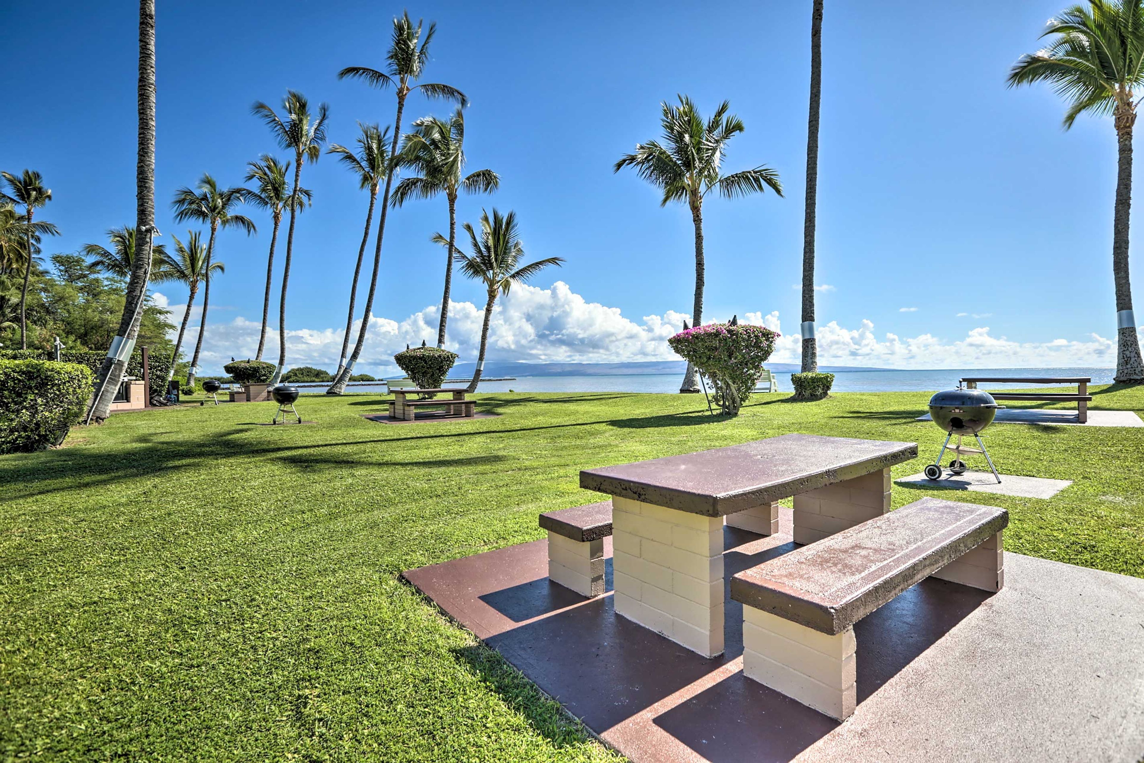 A grassy outdoor area with picnic tables and a barbecue grill, surrounded by palm trees and a view of the ocean.