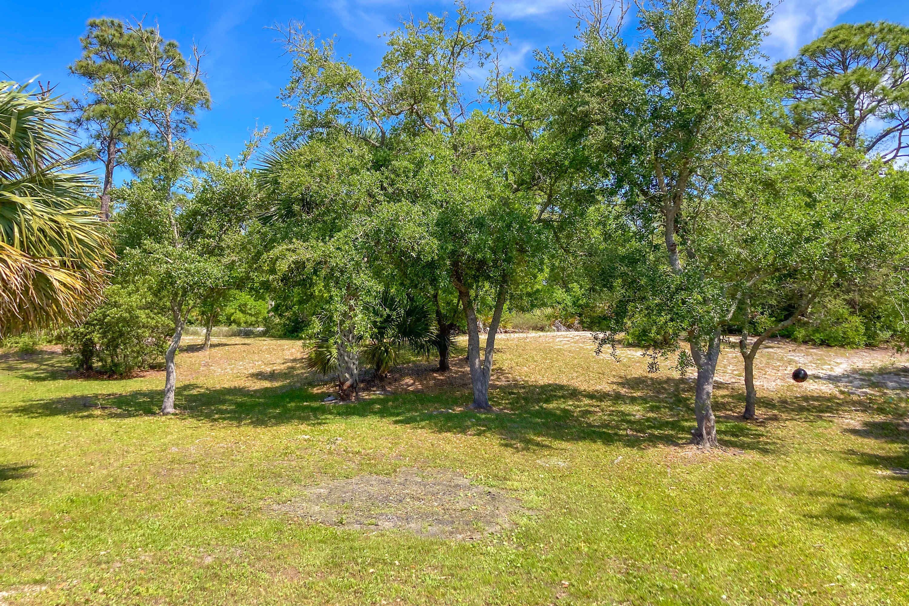 A grassy area with trees and a clear sky.