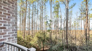 A view from a balcony overlooking a forest with tall trees and a body of water in the background. - Spacious condo with bay views, renovated pool, hot tub, & beach access! (Miramar Beach)