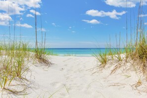 Uma praia arenosa com grama alta em primeiro plano e um céu azul límpido.