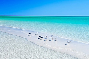 Playa en los alrededores