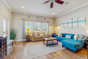 TV