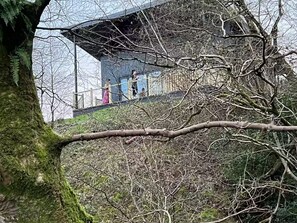 Uklassifisert bilde, 2 av 46, knapp
