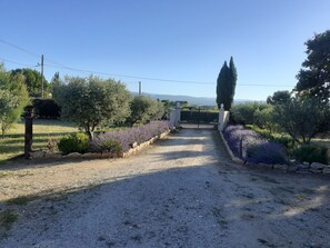 A gravel driveway leading to a gated entrance surrounded by lavender bushes and olive trees. - Quiet 4-person vacation rental in the countryside, with amenities just a 5-minute walk away, a pool, and more (Maubec)