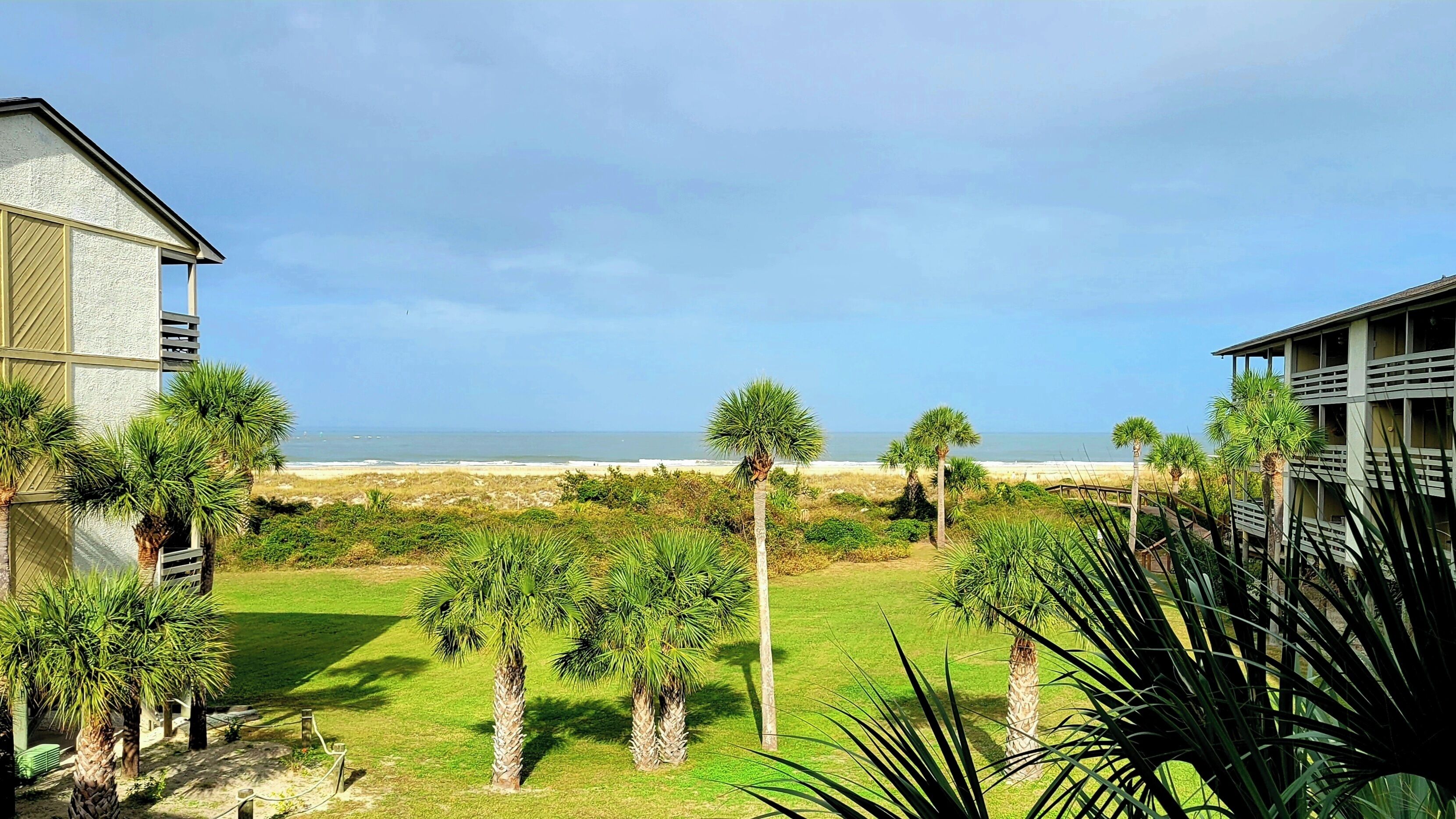 A beachfront property with a view of the ocean, a grassy lawn, and several palm trees.