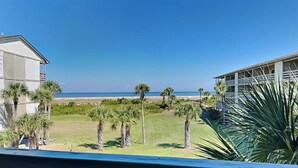 A view of a beachfront property with a grassy lawn, palm trees, and a clear blue sky. - Lighthouse Point 31B | Excellent Views, Pool Access (Tybee Island)