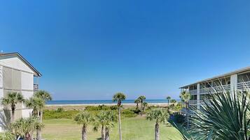 A view of a beachfront property with a grassy lawn, palm trees, and a clear blue sky.