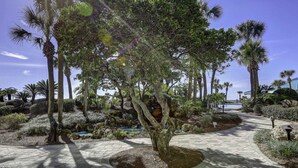 A paved pathway surrounded by various trees and shrubs, leading to a building with a covered entrance. - Terrific condo in beachfront location with pool, central AC & balcony (Panama City Beach)