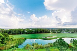 Golf - Renovated studio with pool, hot tub, full sized fridge, and 2 burner stovetop (Miramar Beach)