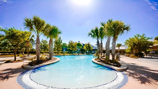 A swimming pool surrounded by palm trees and lounge chairs, with a clear blue sky above. - Spacious home steps from the beach with fast WiFi & washer/dryer (Port St. Joe)