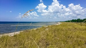 A coastal landscape with a clear sky, grassy areas, and a sandy beach. - Spacious home steps from the beach with fast WiFi & washer/dryer (Port St. Joe)
