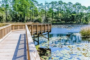 Property grounds - Fourth-floor corner condo with Big Redfish lake view, pool & washer/dryer (Santa Rosa Beach)