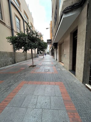 Property grounds - Miguel Rosas (Las Palmas de Gran Canaria)