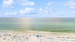 A beach with rows of sun loungers and umbrellas, a clear sky, and calm sea. - Updated, beachfront condo with pool, hot tub & gym (Panama City Beach)