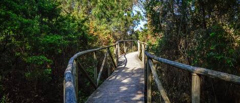 Apartment, 2 Schlafzimmer, Gartenblick | Aussenbereich