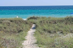 A coastal path leading to the sea with a clear view of the ocean. - Classic dog-friendly bungalow with fenced yard, washer&dryer, full kitchen, AC (Panama City Beach)