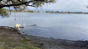 Unclassified image, 3 of 37, button - Pfoten und Berge Oberreute (Oberreute)