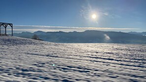 Nicht klassifiziertes Bild, 2 von 37, Schaltfläche