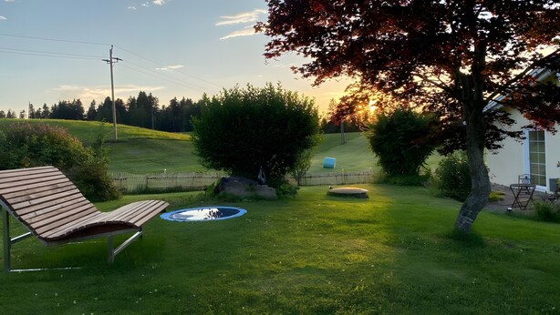 A grassy backyard with a wooden bench, a small pool, and a tree.