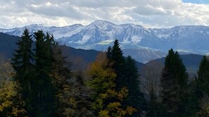 Miscellaneous - Pfoten und Berge Oberreute (Oberreute)