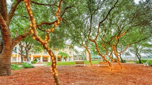 Um parque com árvores, um banco e um edifício ao fundo.