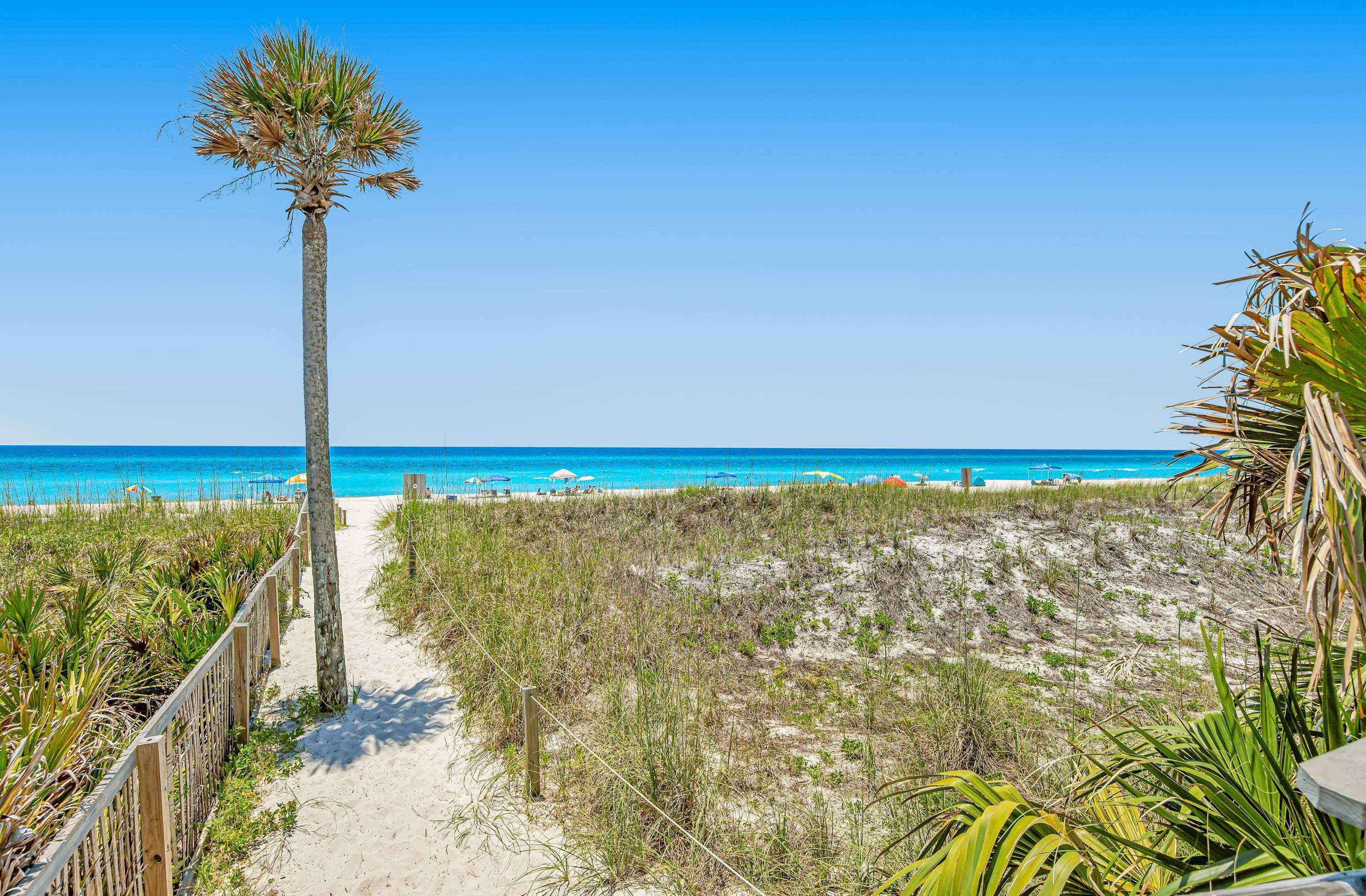 Un camino bordeando la playa que lleva al océano, con una palmera y sombrillas de playa al fondo.